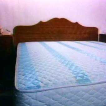 Sealey – 1975