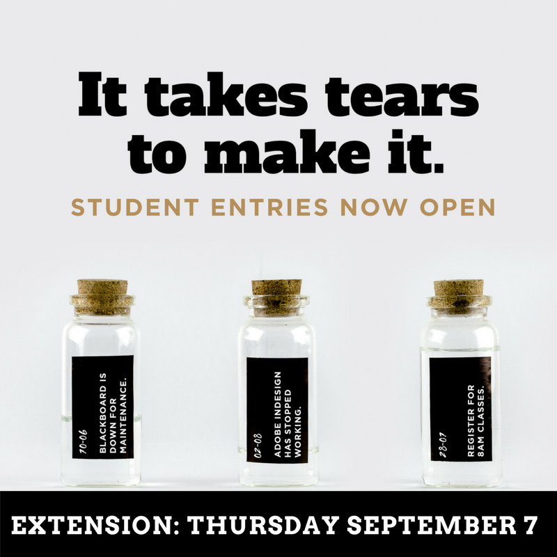 Student Brief 2017
